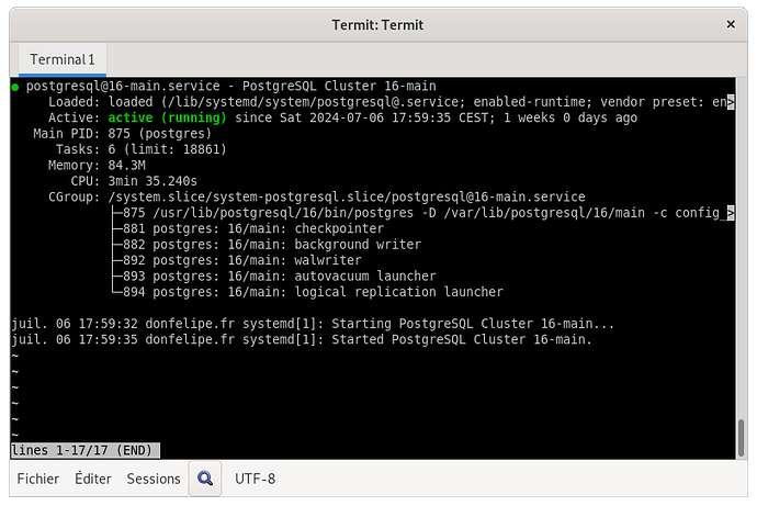 postgresql@16-main.service du 2024-07-13 18-08-24