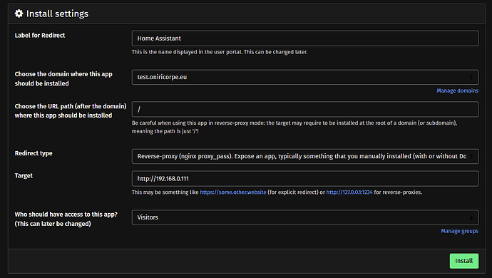Redirect type: reverse proxy; Target: http://192.168.0.111; Who should have access to this app?: Visitors