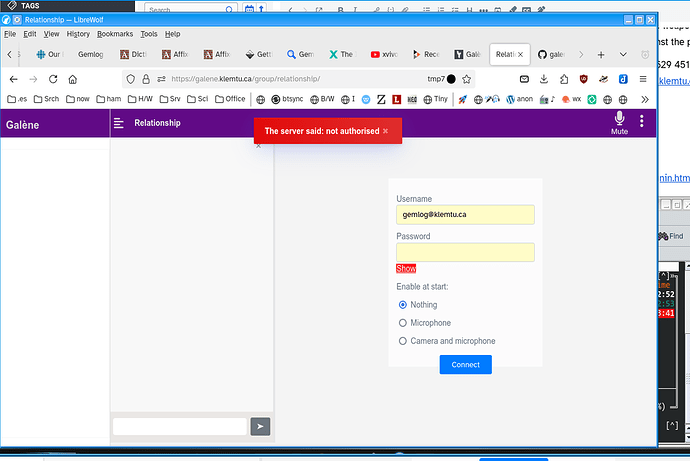 Screenshot_20250301_191905