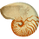 chmeyer